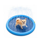 Small Chihuahua having fun standing inside a blue circular dog splash and sprinkler pool.