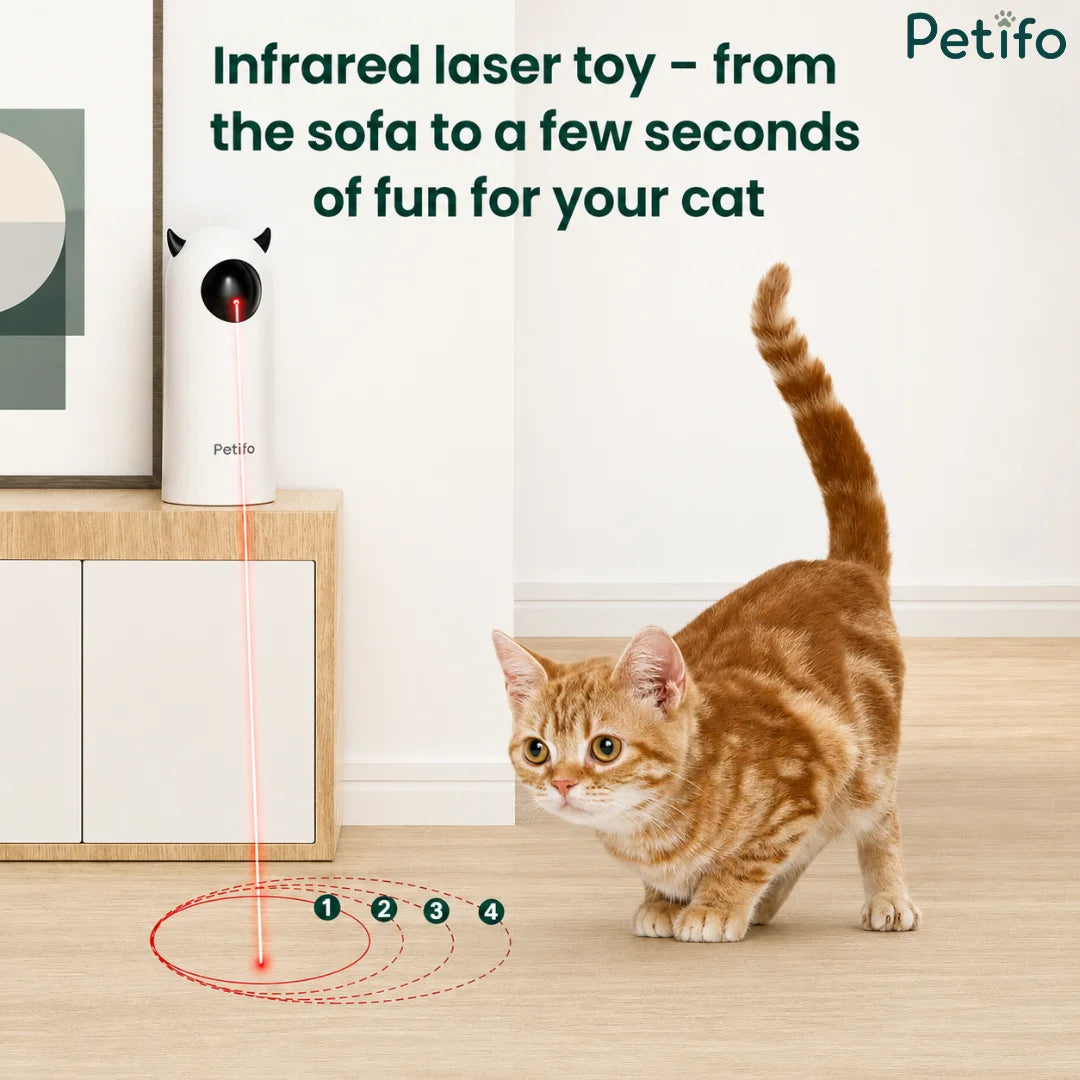 Ginger kitten watching an infrared laser pattern expand across the floor in adjustable coverage circles.