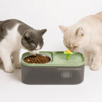 Two cats sharing a green automated water fountain and stainless steel food bowl combo.