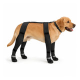 Winterstiefel für Hunde mit H-Gurt SnowGrip
