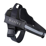 Detixy-Hundegeschirr
