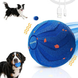 PetZynergy-Aktivitätsball für Hunde