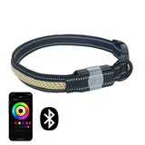 LunaPaw-LED-Halsband für Hunde