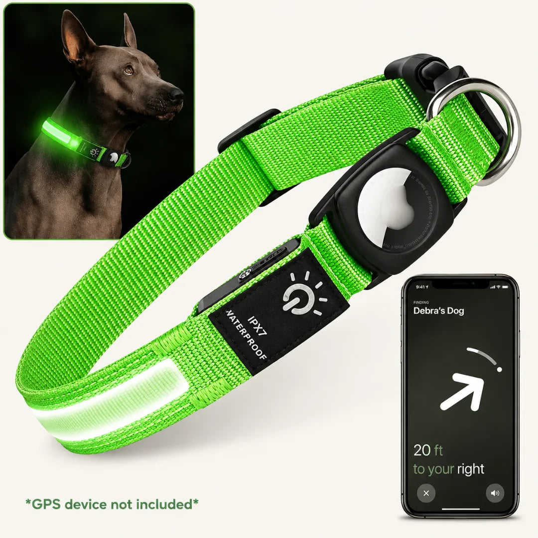 Bright green LED dog collar featuring an AirTag holder and a smartphone tracking app interface.
