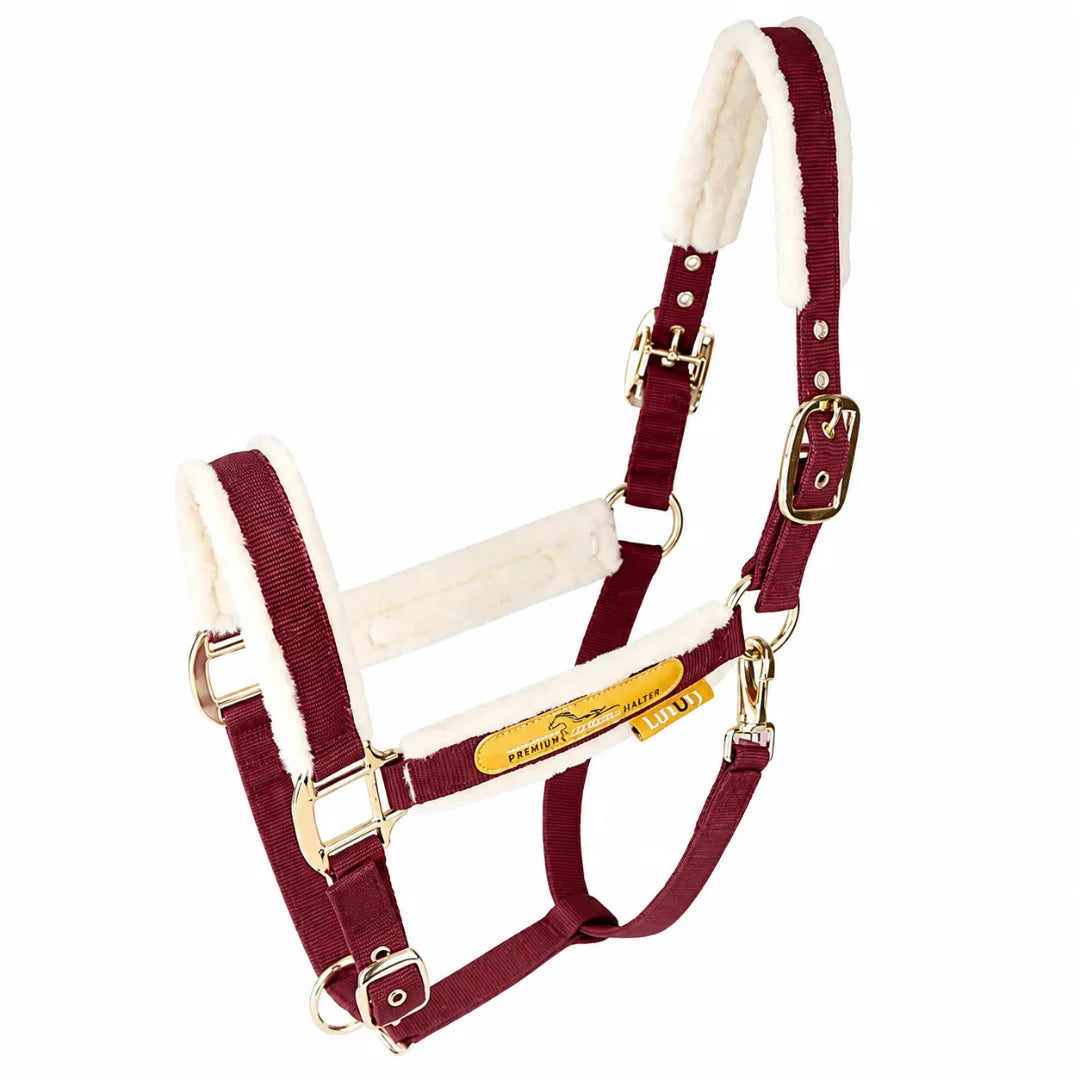 Burgundy and white fleece-padded luxury horse halter on a white background.
