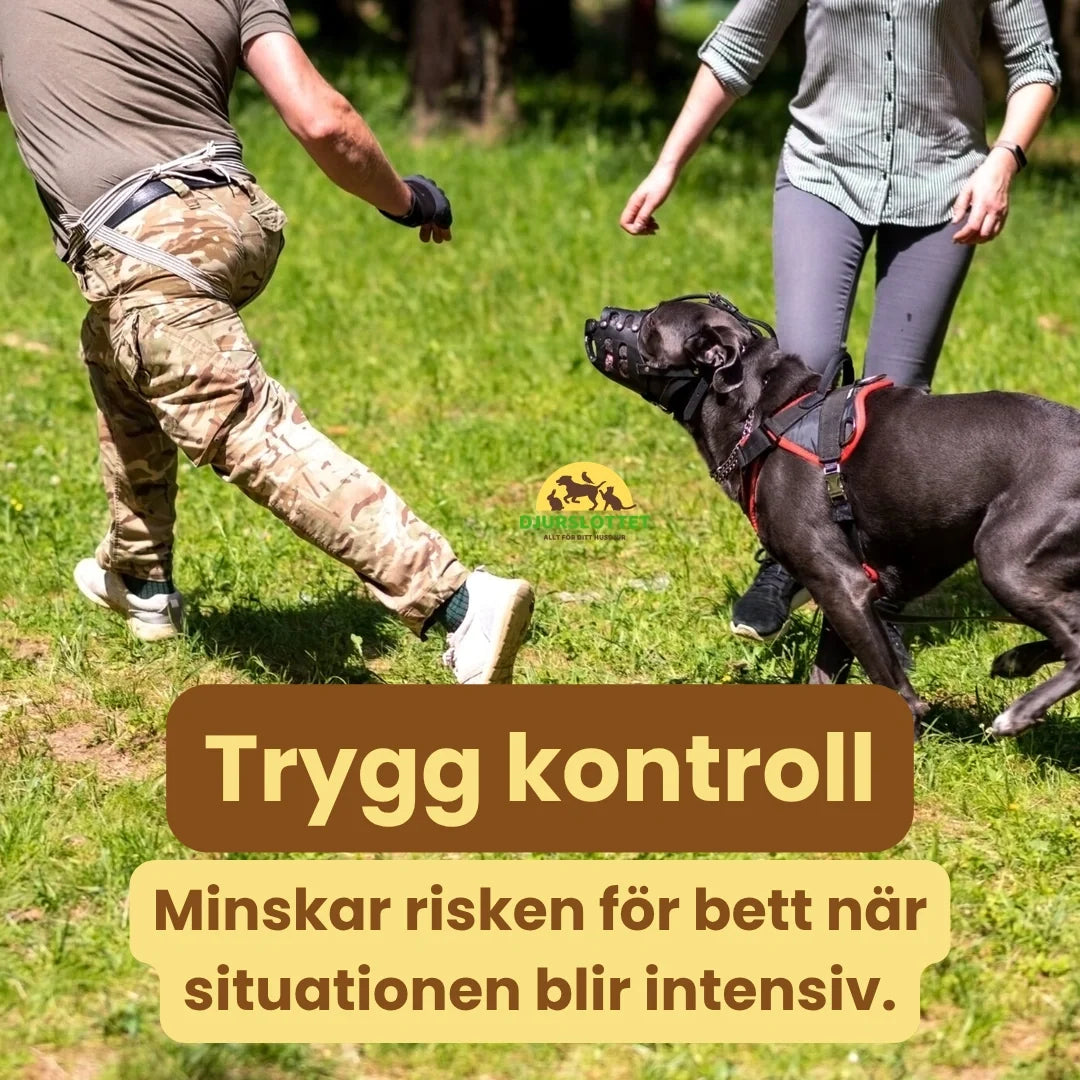 Canimora Muzzle for Large Dogs Safe control Petifo