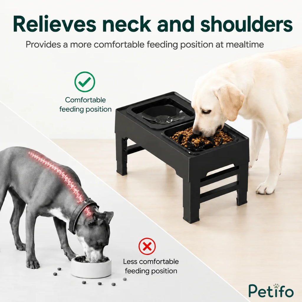 Raised dog feeder promoting a comfortable feeding posture to relieve neck and shoulder strain.