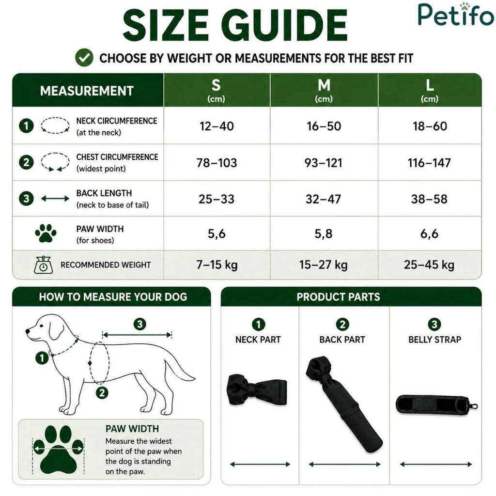 Detailed size chart infographic displaying measurements in centimeters for neck circumference, chest size, back length, paw width, and recommended weight.