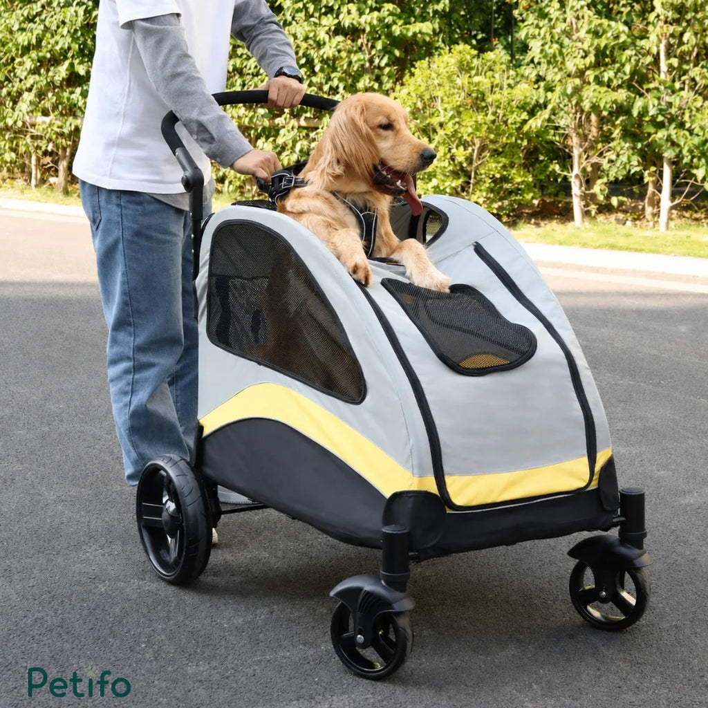 A person pushing a Golden Retriever dog riding in a Petifo large dog stroller on an outdoor asphalt road