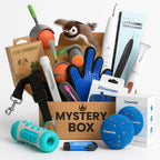 Petifo assortment of eco-friendly pet toys, grooming tools, and interactive smart gadgets.
