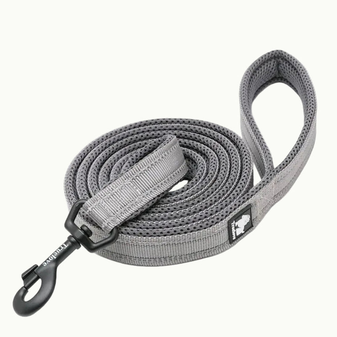 A Grey TrueLove Reflexfit reflective dog leash with a padded handle and durable metal clip.