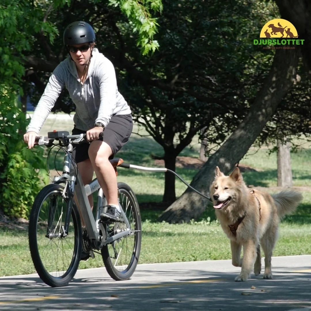 Flexura Dog Bike Lead More stable control - Petifo