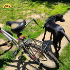 Flexura Dog Bike Lead Durable stitching for safe use - Petifo