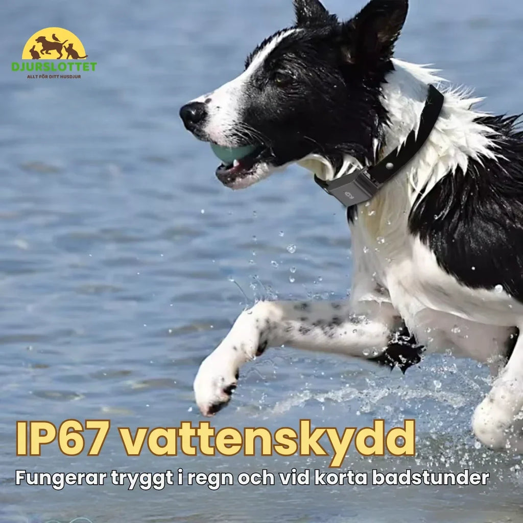 GPS Collar for Pets IP67 water protection - Petifo
