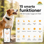 Petracka GPS Tracker smart features real-time - Petifo