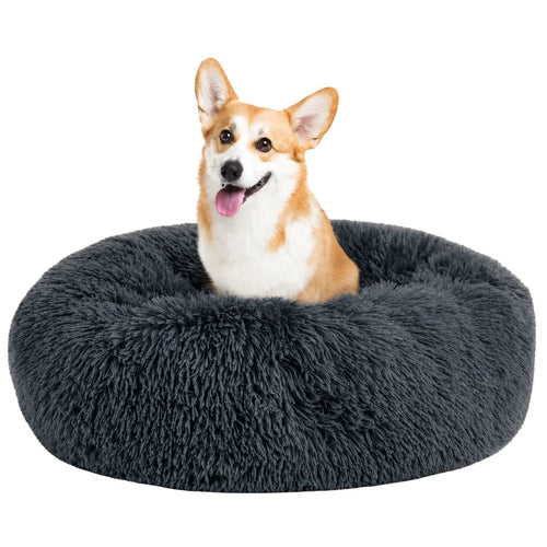 Happy corgi sitting alertly in a dark charcoal grey fluffy round pet bed.