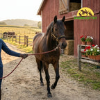 Horse Lead Rope Durable braided design - Petifo