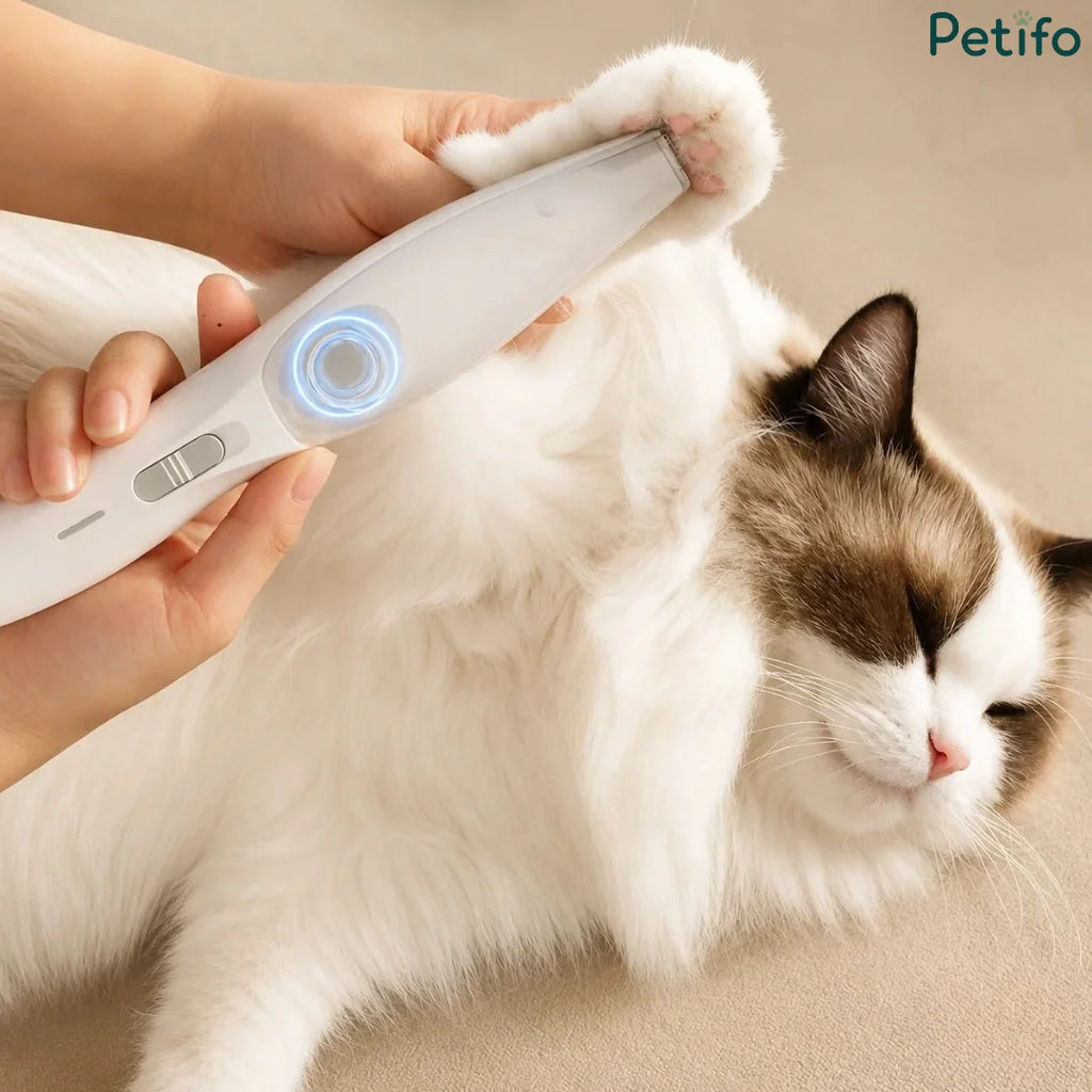 Person gently trimming the paw fur of a relaxed white cat using the handheld pet hair trimmer.