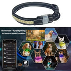 LunaPawCollar with LED lighting Bluetooth + App control - Petifo