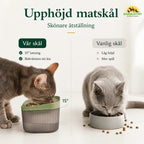 MealStream Water Fountain with Food Bowl food bowl - Petifo