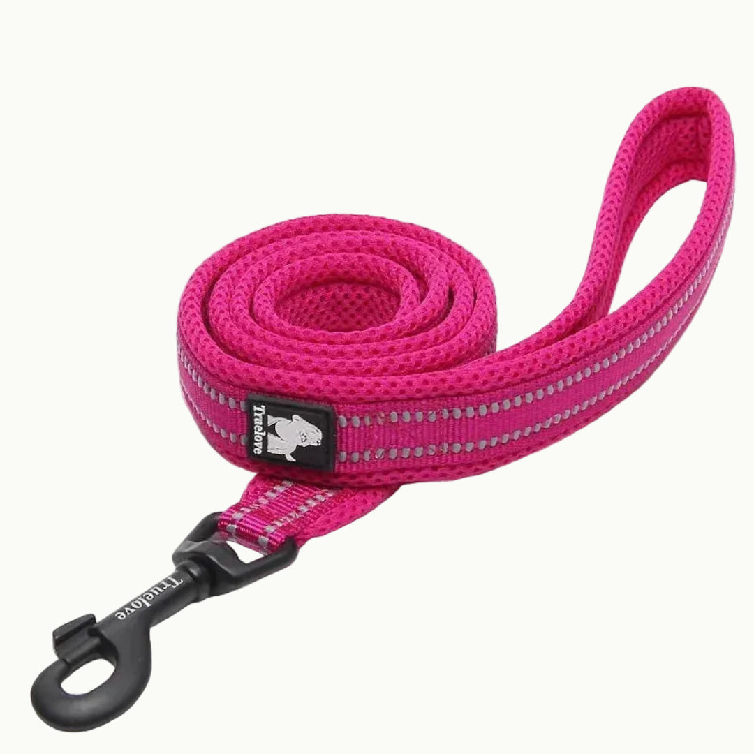 A Pink TrueLove Reflexfit reflective dog leash with a padded handle and durable metal clip.