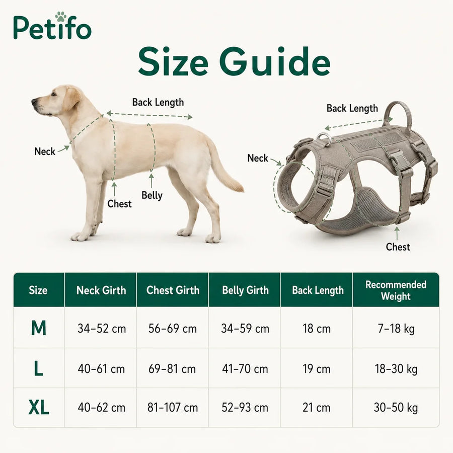 Diese Größentabelle für das ProSafe-Hundegeschirr zeigt Maße für Hals, Brust, Bauch und Rückenlänge sowie empfohlene Gewichtsbereiche für die Größen M, L und XL.