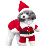 Weihnachtsoutfit für Hunde und Katzen