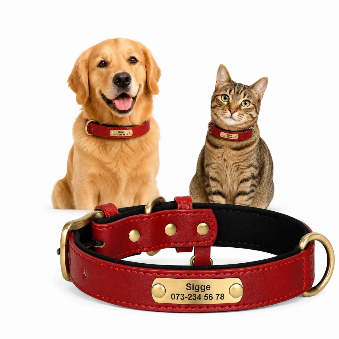 Golden retriever and tabby cat sitting next to a red personalized leather pet collar featuring an engraved brass nameplate.