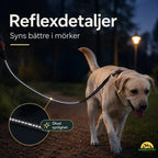 SafePaw Anti-Pull Lead with Seatbelt Attachment reflective details - Petifo