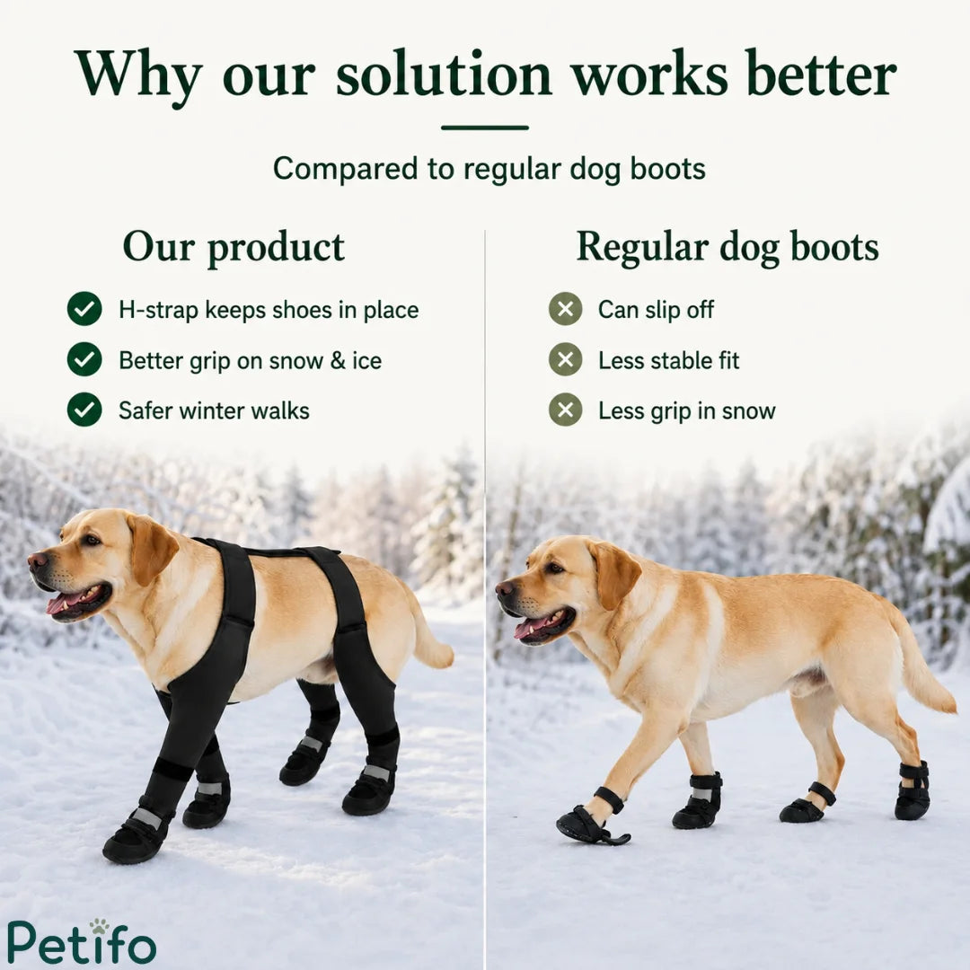 Comparative product infographic illustrating why the secured H-strap dog boot design stays on better and offers superior grip on snow compared to regular boots.