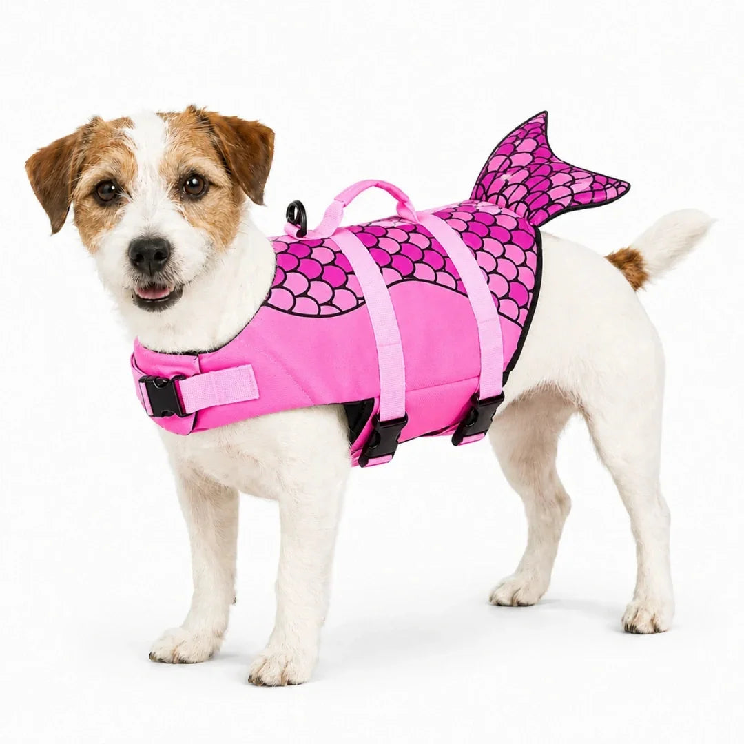 Jack Russell Terrier showcasing the pink mermaid style Petifo dog life jacket on a white background.