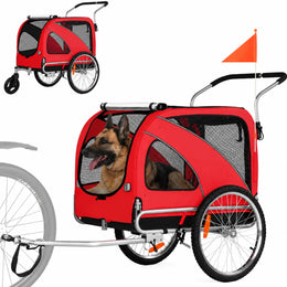 Rot