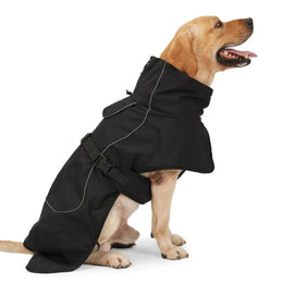 Schwarz