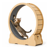 Tassiloop Laufrad aus Holz für Katzen