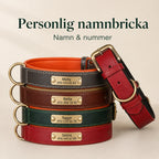 Tagley leather collar with personalised name plate - Petifo