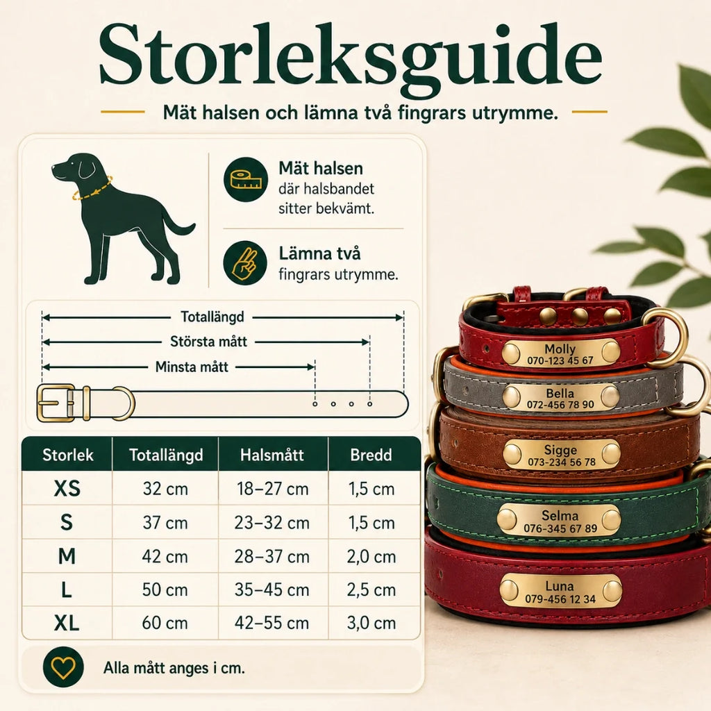 Tagley leather collar size guide XS to XL - Petifo