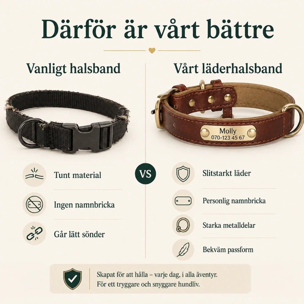 Tagley leather collar compared with an ordinary collar - Petifo
