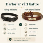 Tagley leather collar compared with an ordinary collar - Petifo