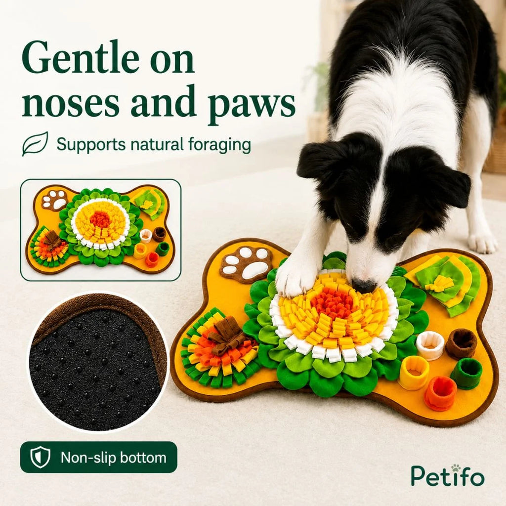 PetSniff Schnüffelteppich