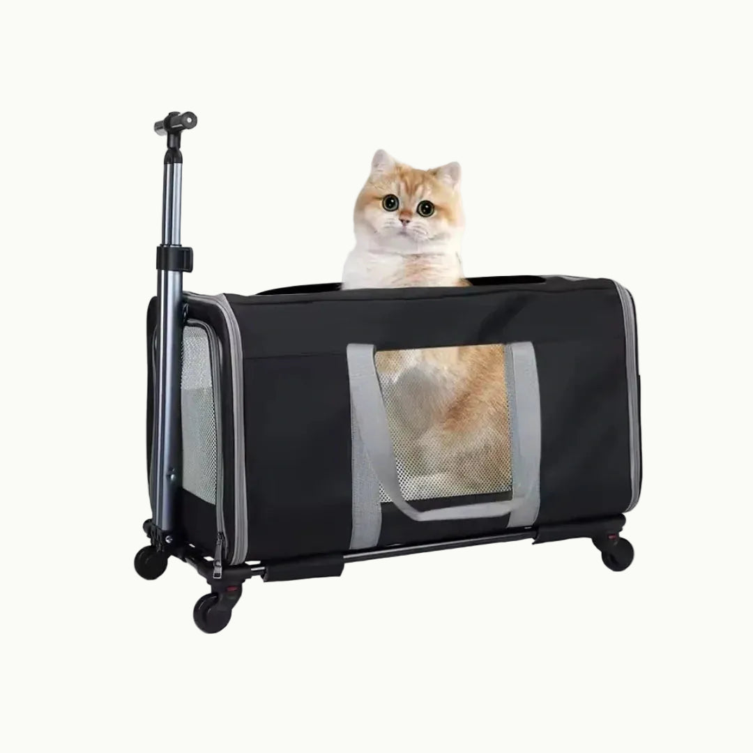A beige rolling pet travel carrier with wheels and a telescopic handle, displayed a cat.