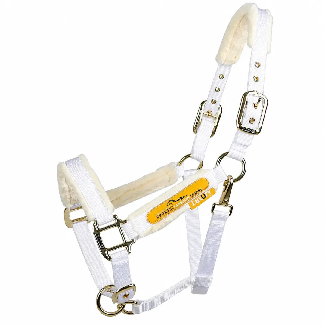 Premium white padded horse halter with fleece lining and gold buckles.
