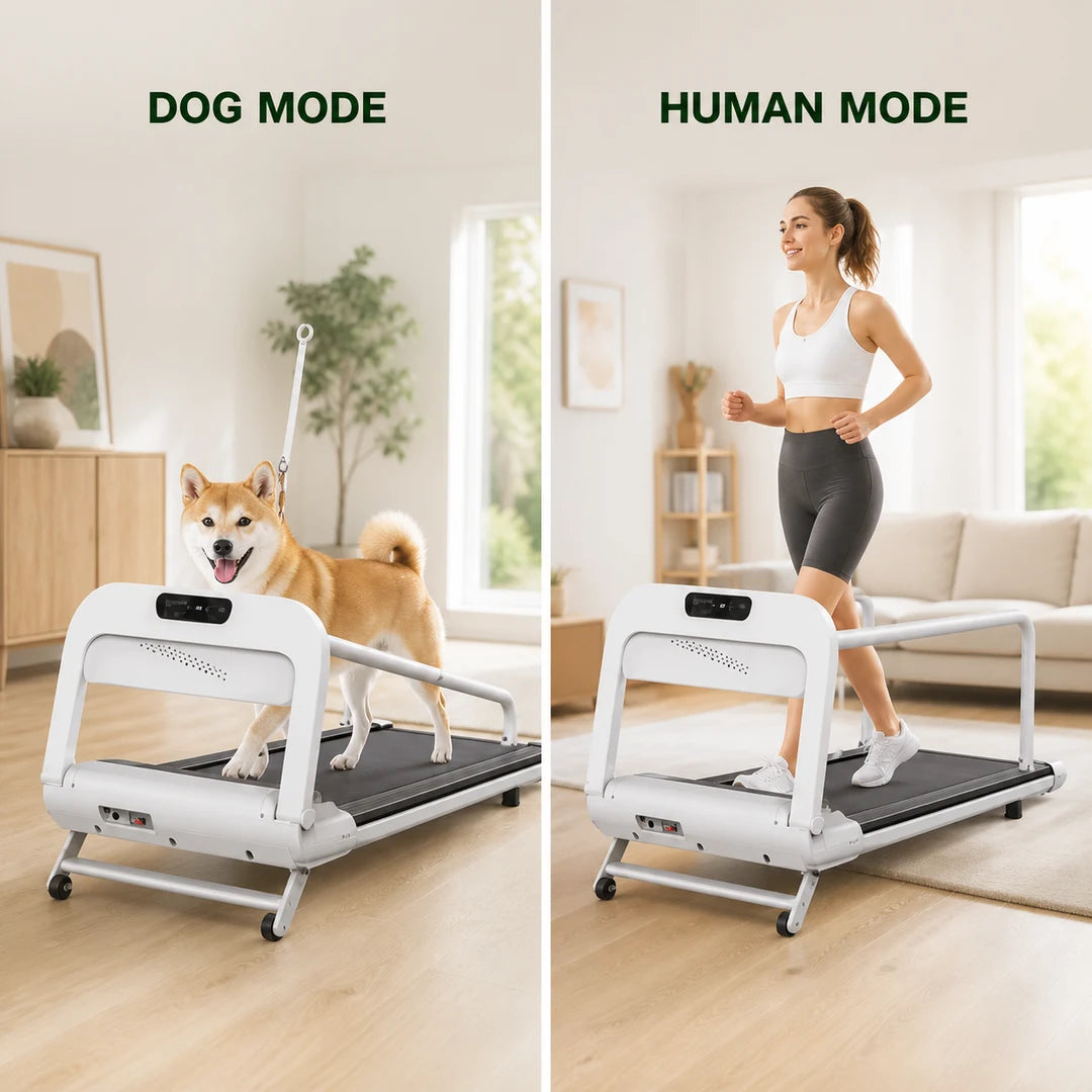 2-in-1-Laufbandmodi für Hund und Mensch