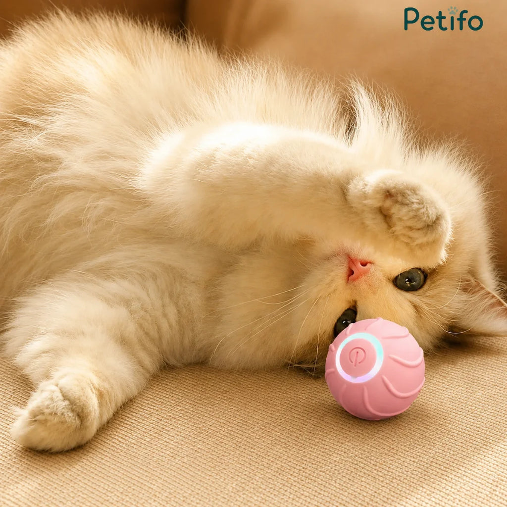 Pink Jumping Ball for Cats batted by a playful kitten - Petifo