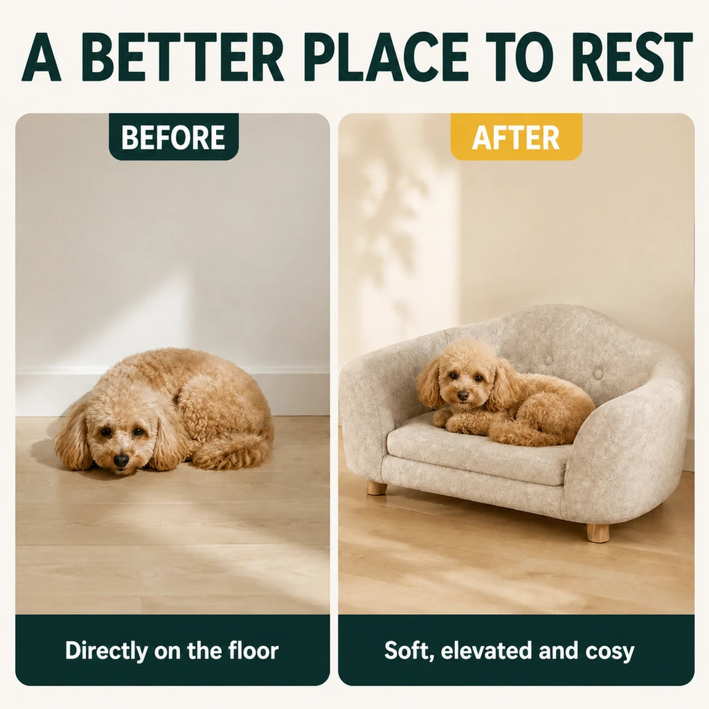 Before and after moving from the floor to the PawHut pet sofa - Petifo