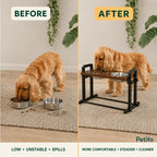 PawHut adjustable raised dog bowls: Low floor bowls compared with a raised feeding position - Petifo