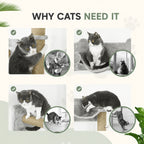 Cats using the PawHut wall-mounted cat climbing set - Petifo