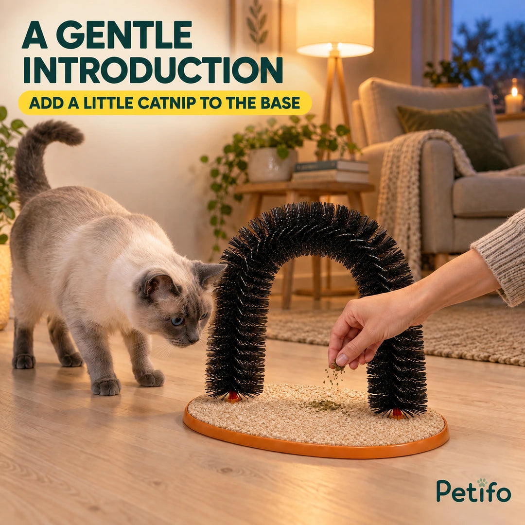 Introducing the Purrnivo Cat Self-Groomer with a little catnip - Petifo